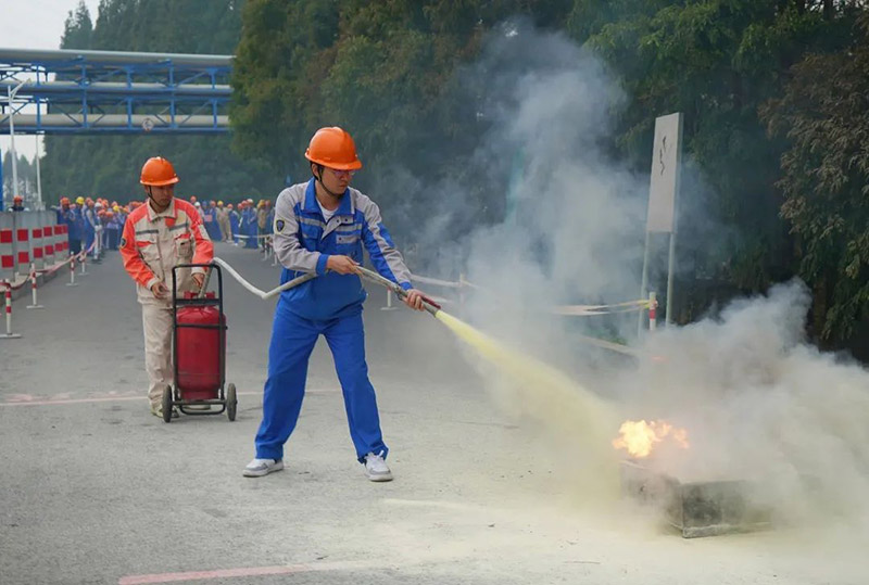 1700010819783384.jpg 12.jpg