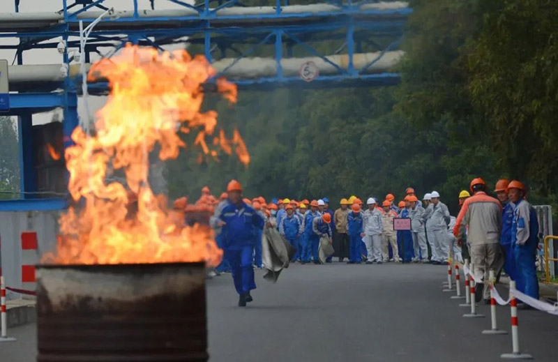 1700011015131485.jpg 24.jpg